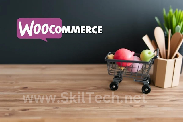 www.SkilTech.net Integrating WooCommerce Top Plugins to Enhance Your E-commerce Store